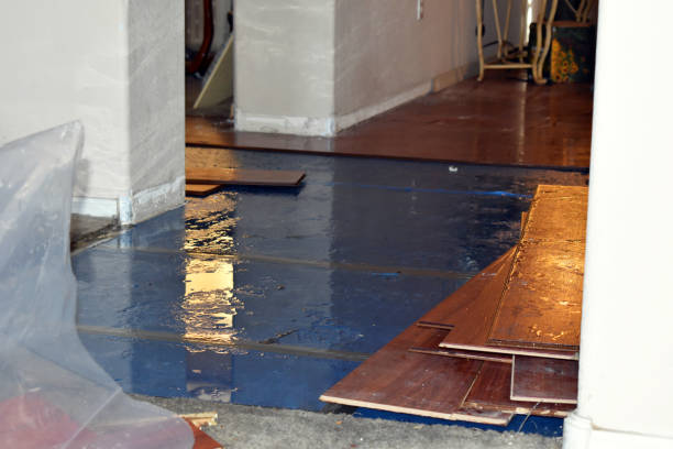 Professional Water Damage Restoration technician working in Marlton, MD